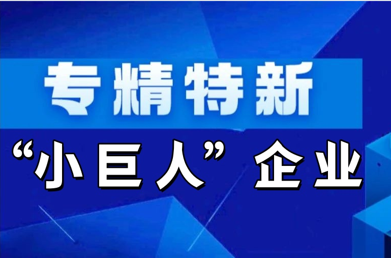 喜报 | 赛时达荣获国家级专精特新“小巨人”企业称号